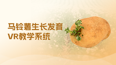 马铃薯生长发育VR教学系统